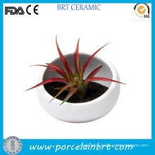 New Design Half Flower Pot for Home Decoration